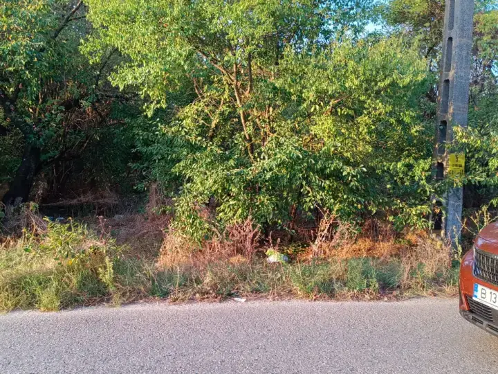 De vanzare teren intravilan cu padure – Potlogeni Vale, com. Crangurile, jud. Dambovita principala